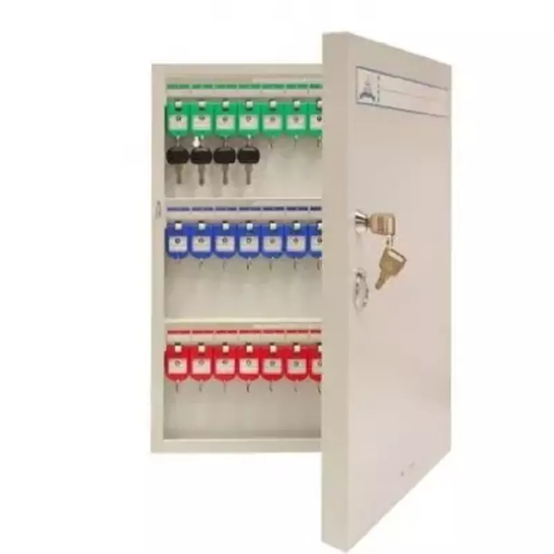 Jielisi Key Box Holder Metal with Key Lock 24 Keys Aluminium (Keychain Included) JZ3001