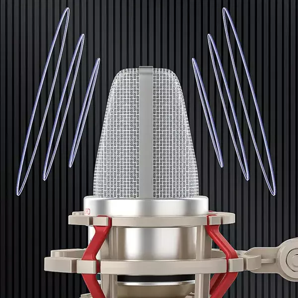 Studio Quality Condenser Sound Recording Microphone for Voice Over and Studio Recording - VF-103