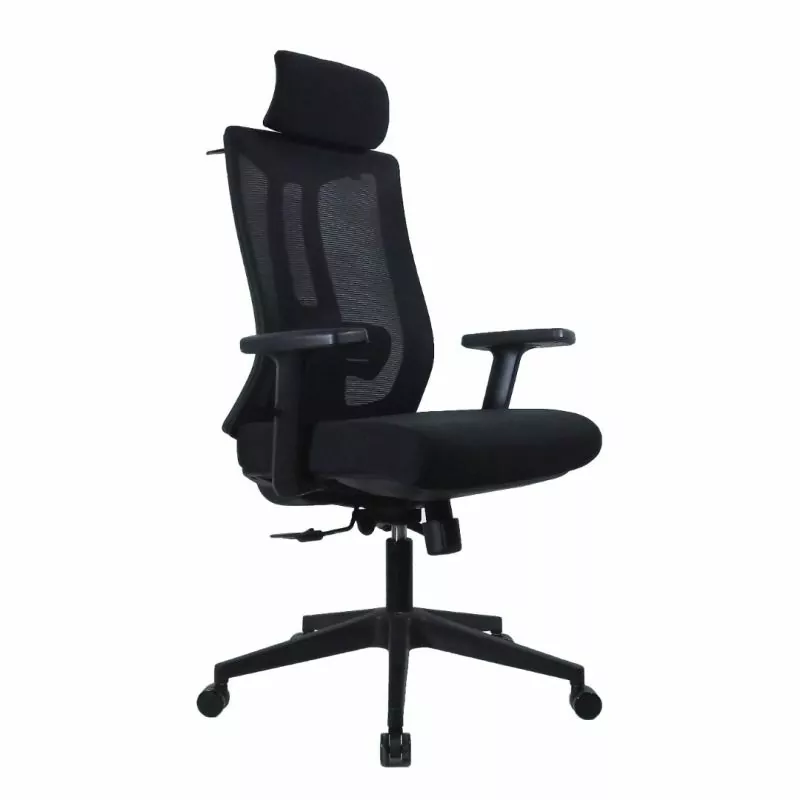 Generic Office Chair High Back Multifunctional Mechanism Black DY-61H