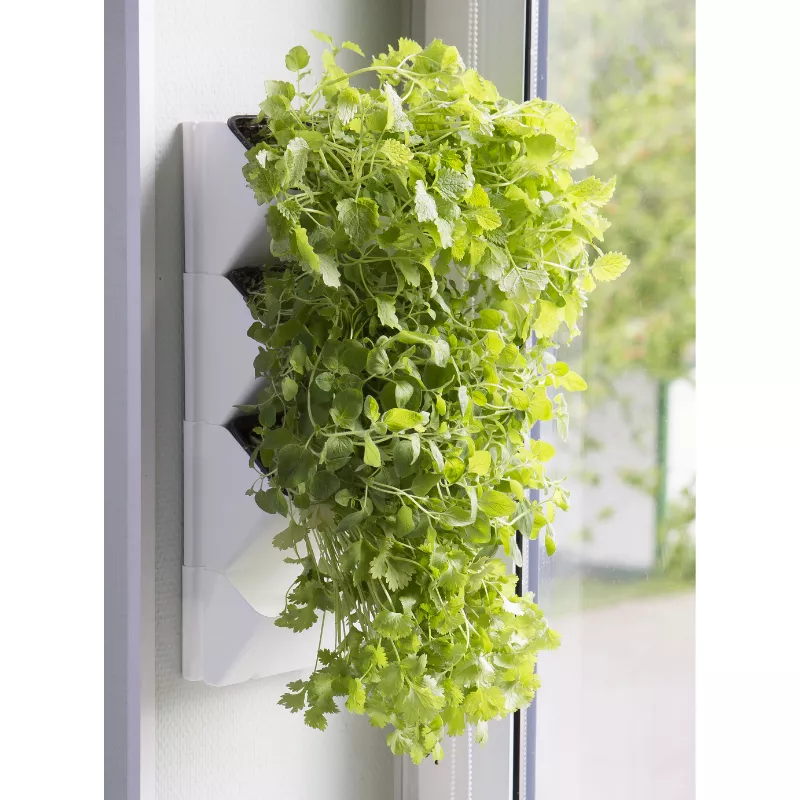 Aquael Versa Garden Wall Module Kitchen Garden Herbs Bracket