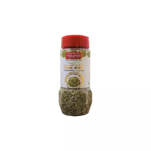 Nature's Choice Fennel Seeds Whole 100g (Pack of 24)